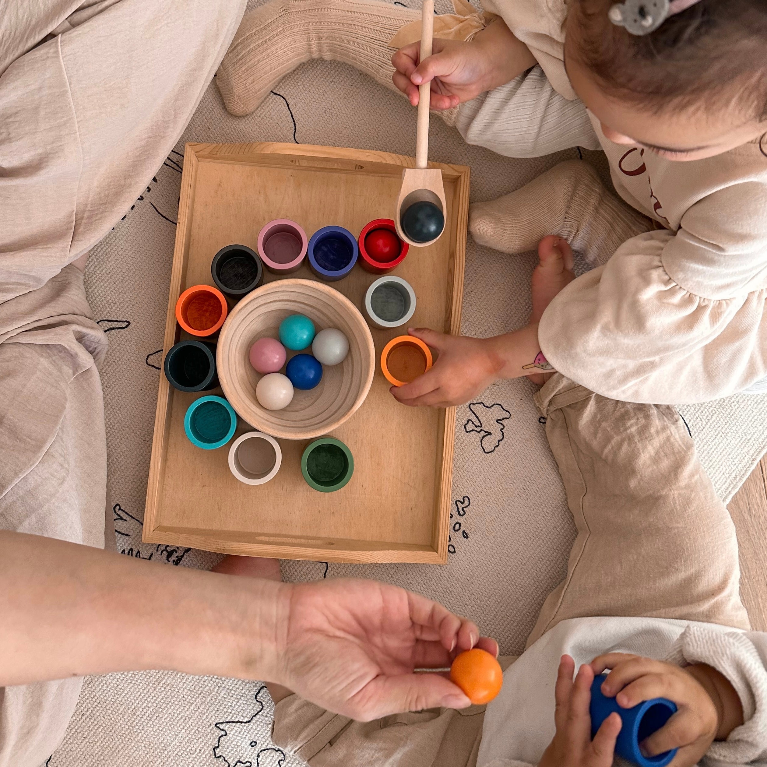 Montessori Kugel Sortierspielzeug
